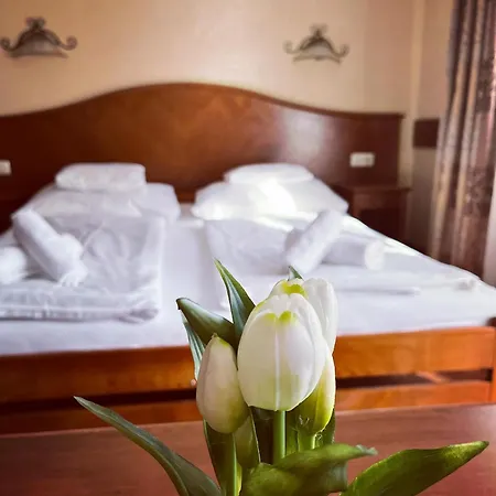 Fonix Wellness *** 1 A Epulet 住宿加早餐酒店