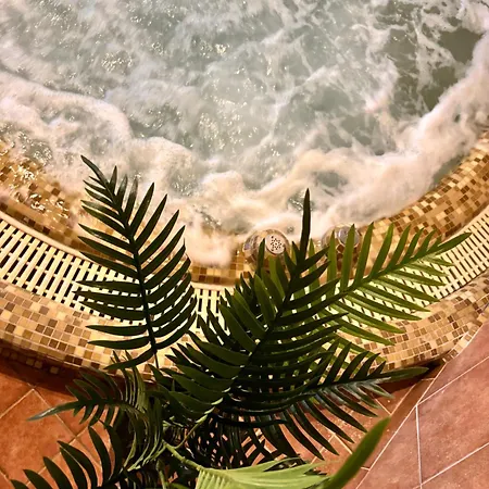 住宿加早餐酒店 Fonix Wellness *** 1 A Epulet