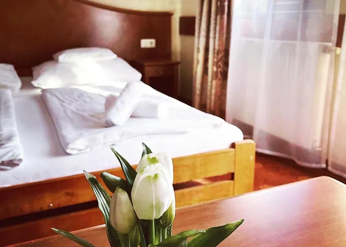 Fonix Wellness *** 1 A Epulet B&B *